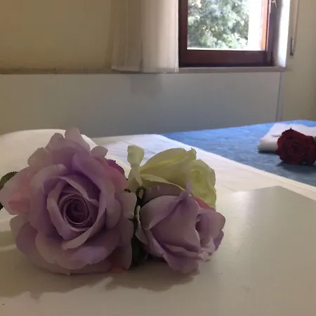 Palace מלון 2*