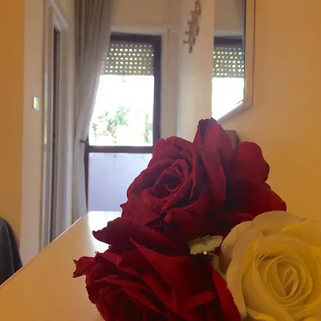 Palace 2* ג'וליאנובה